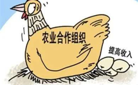 農(nóng)業(yè)農(nóng)村部關于加快發(fā)展農(nóng)業(yè)社會化服務的指導意見