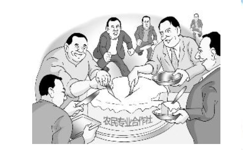 關于加快發(fā)展農(nóng)業(yè)社會化服務的指導意見